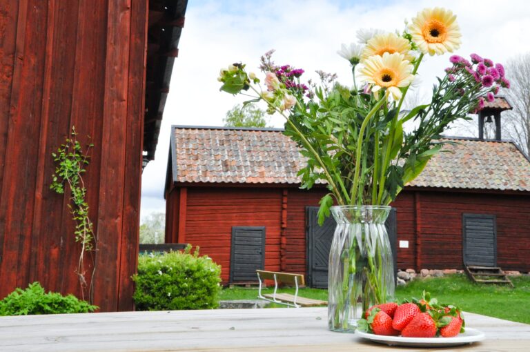 foto av byggnader på Gammelgården med blomvas och jordgubbar